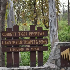 Jim Corbett